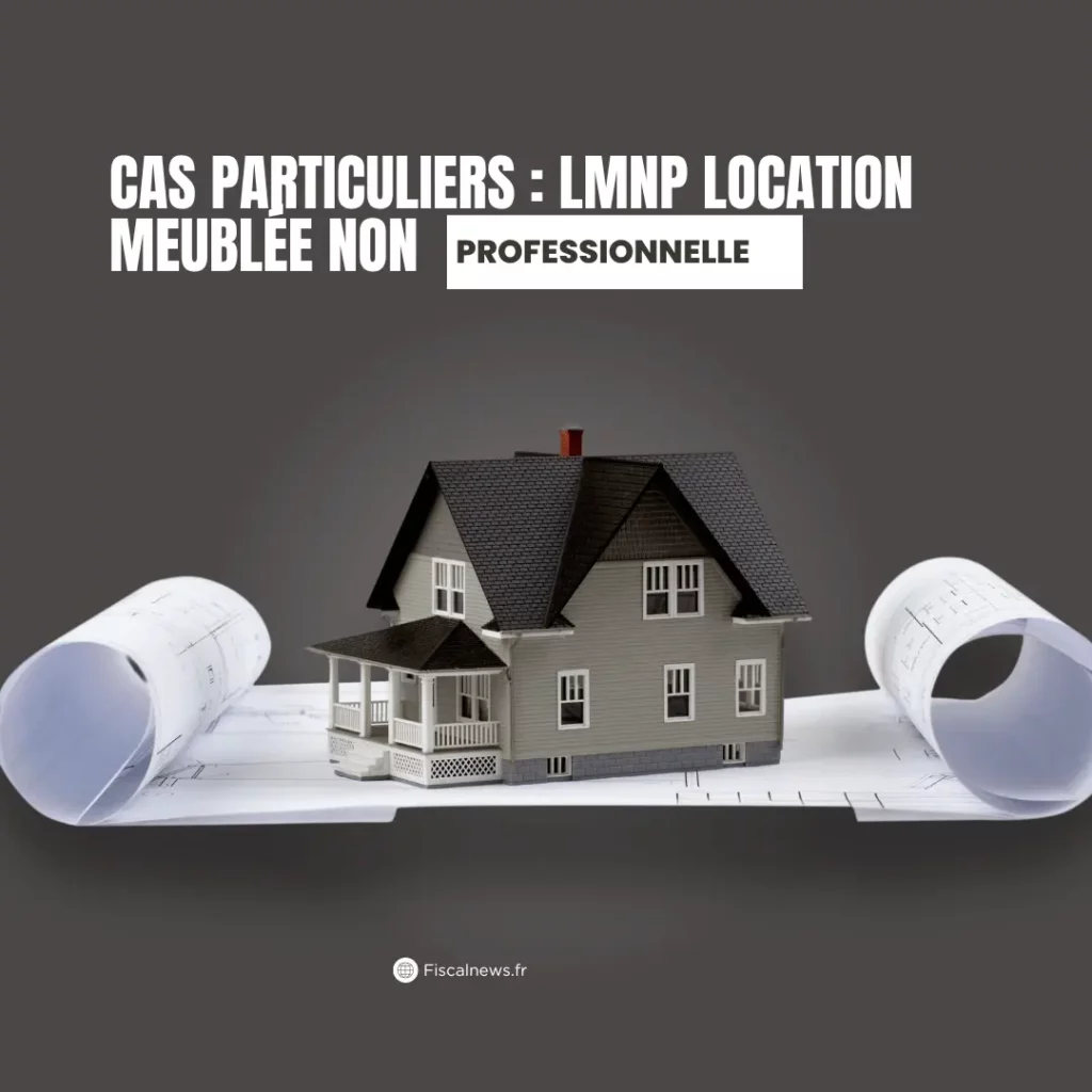 cas particuliers lmnp location meublée non