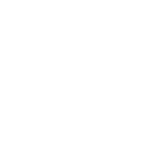 fiscalnews logo (1)